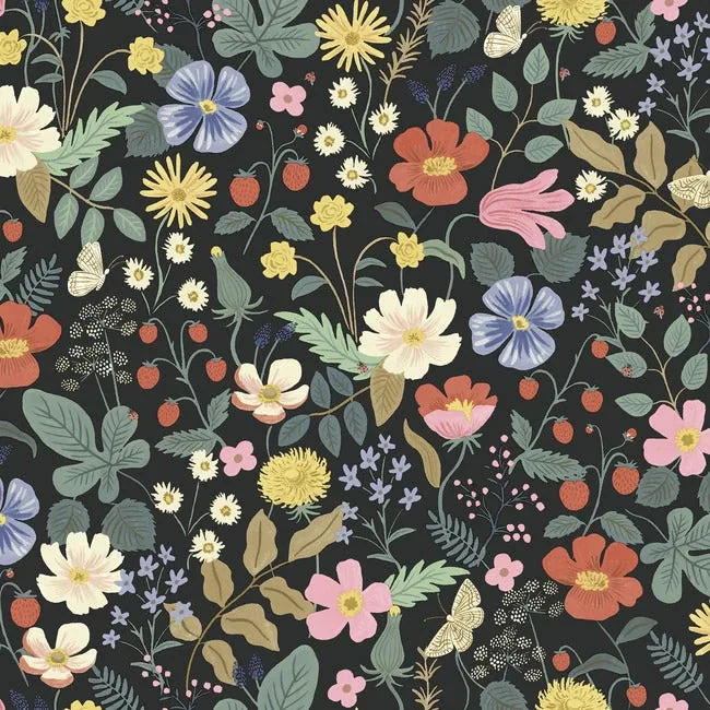 York Wallcoverings Strawberry Fields Black & Green Wallpaper - SKU RP7355