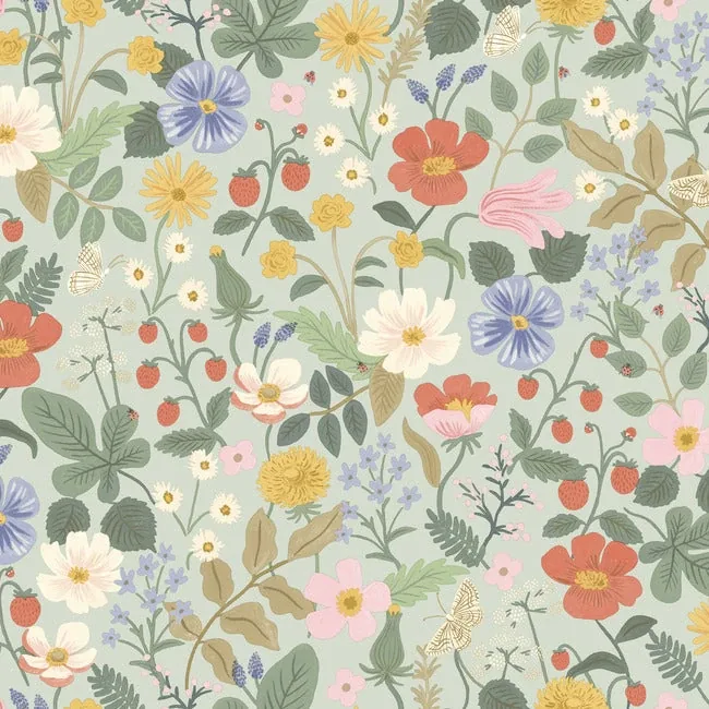 RP7356 | Strawberry Fields Green & Pink Wallpaper