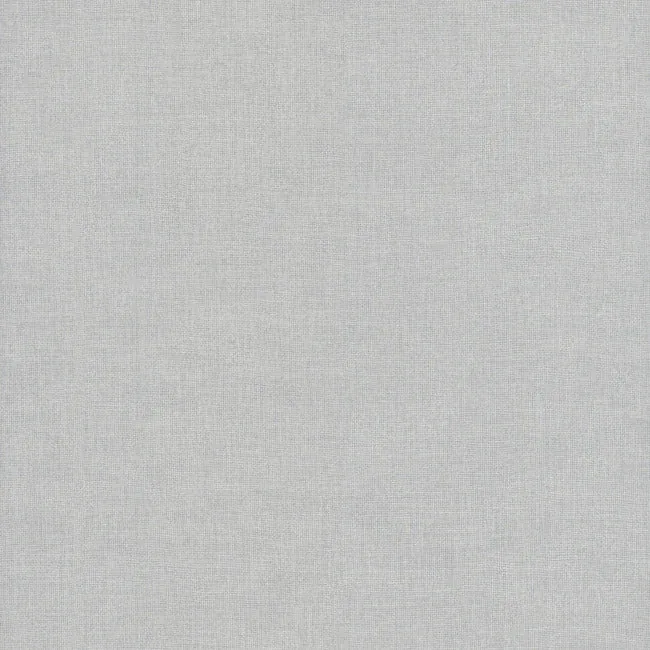 SI24953 | Su Tela Fog Wallpaper