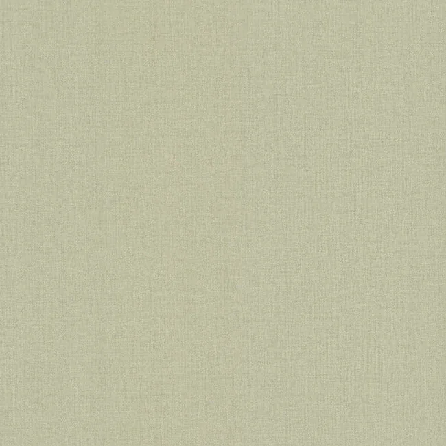 SI24951 | Su Tela Green Wallpaper