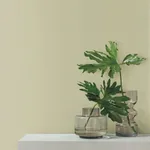 York Wallcoverings Su Tela Green Wallpaper - SKU SI24951