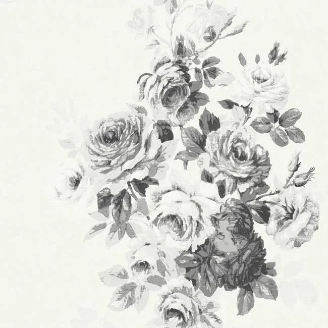ME1534 | Tea Rose Black & White Wallpaper
