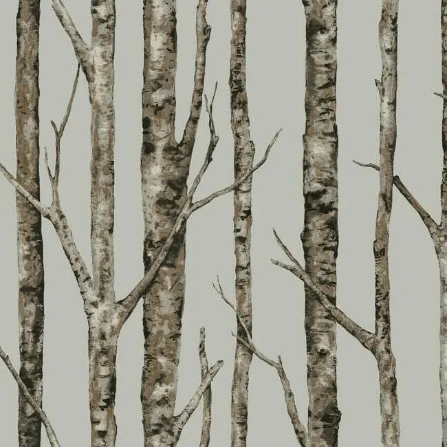York Wallcoverings The Birches Silver Grey & Taupe Wallpaper - SKU LL4757