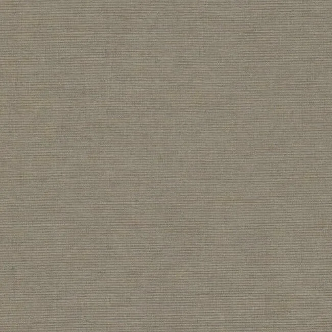 York Wallcoverings Trapunto Texture Brown Wallpaper - SKU 6413