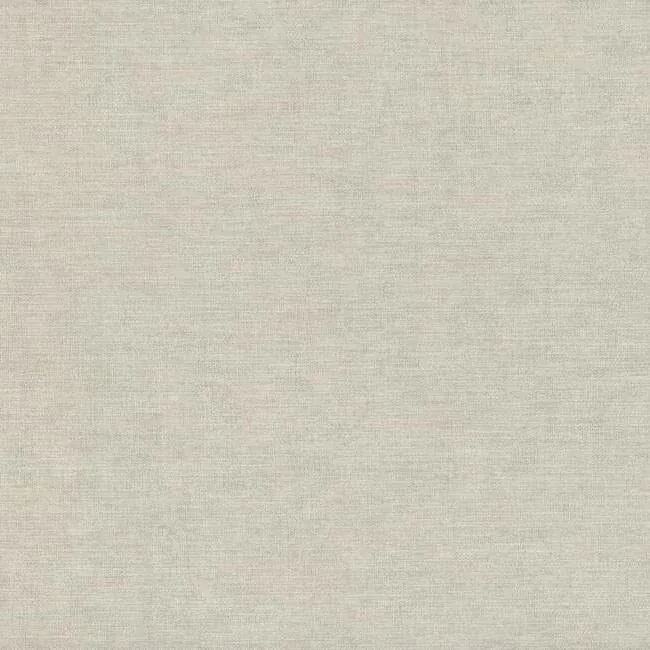 York Wallcoverings Trapunto Texture White Wallpaper - SKU 6421