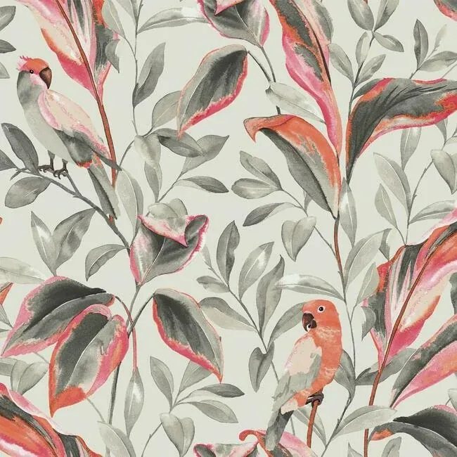 York Wallcoverings Tropical Love Birds Grey Wallpaper - SKU TC2652