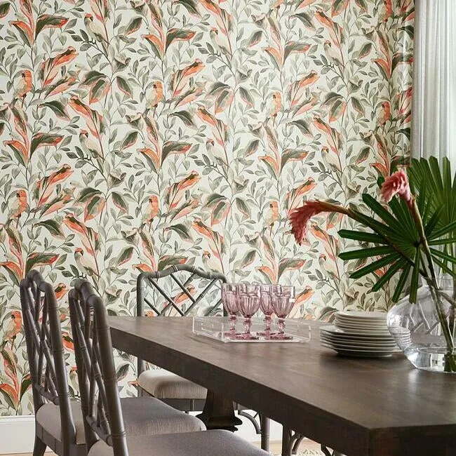 York Wallcoverings Tropical Love Birds Grey Wallpaper - SKU TC2652