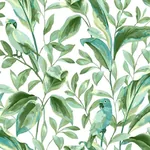 York Wallcoverings Tropical Love Birds White & Aqua Wallpaper | Wallpaper Twins York Wallcoverings Tropical Love Birds White & Aqua Wallpaper - SKU TC2654