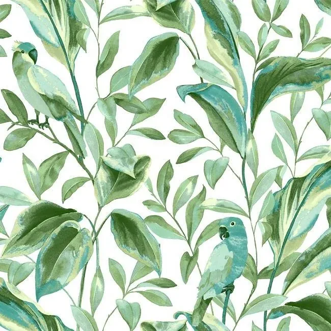 York Wallcoverings Tropical Love Birds White & Aqua Wallpaper - SKU TC2654