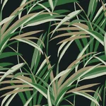York Wallcoverings Tropical Paradise Green & Black Wallpaper - SKU TC2606