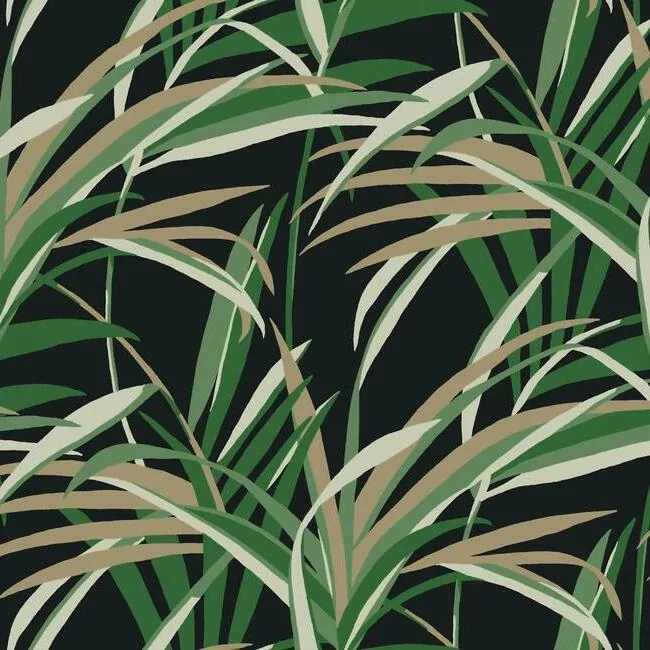 York Wallcoverings Tropical Paradise Green & Black Wallpaper - SKU TC2606