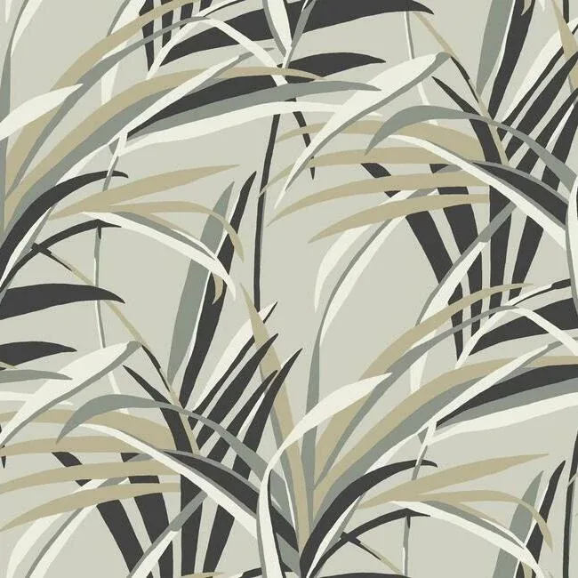 York Wallcoverings Tropical Paradise Taupe Wallpaper - SKU TC2604