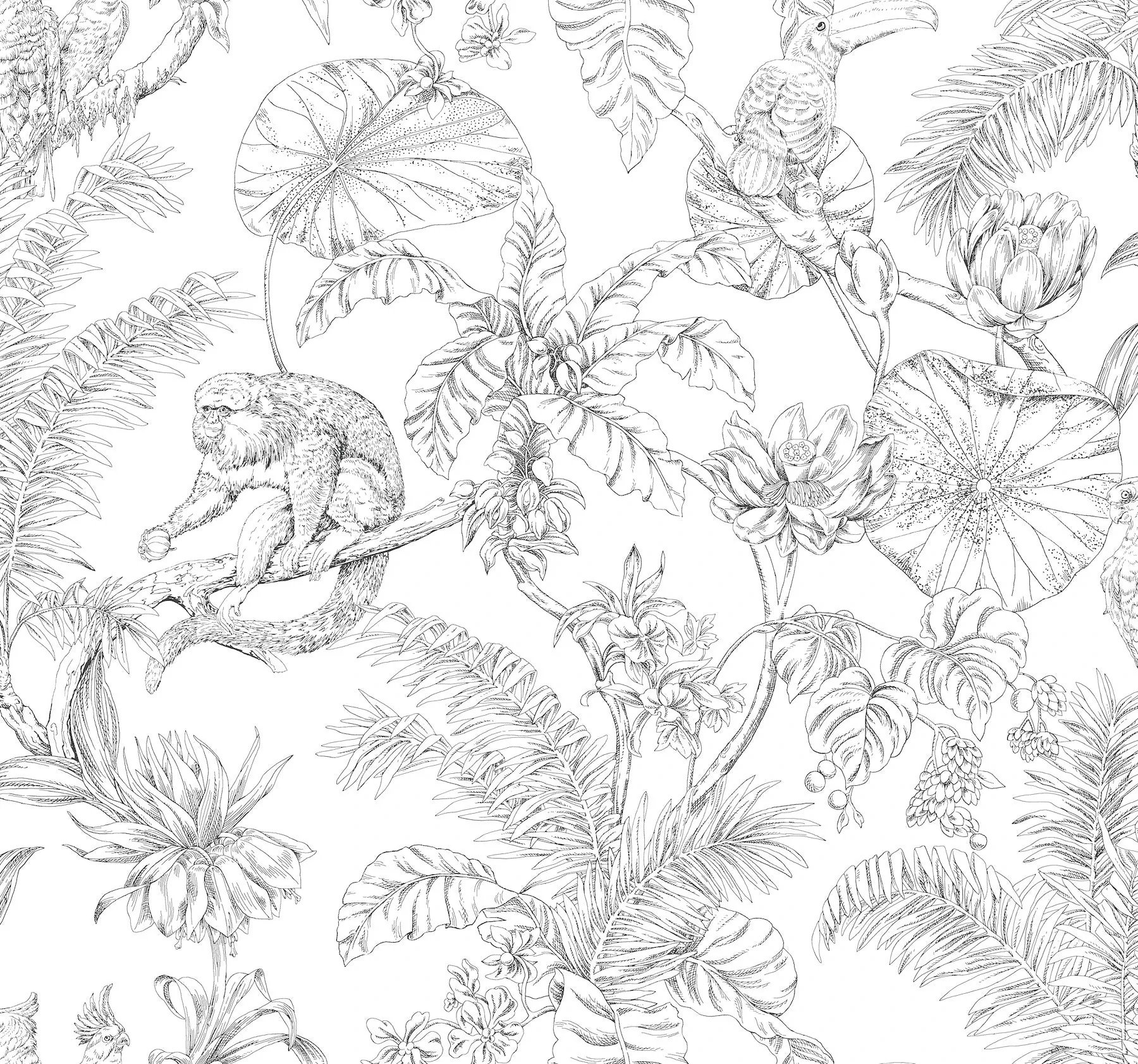 RT7841 | Tropical Sketch Toile Black Wallpaper