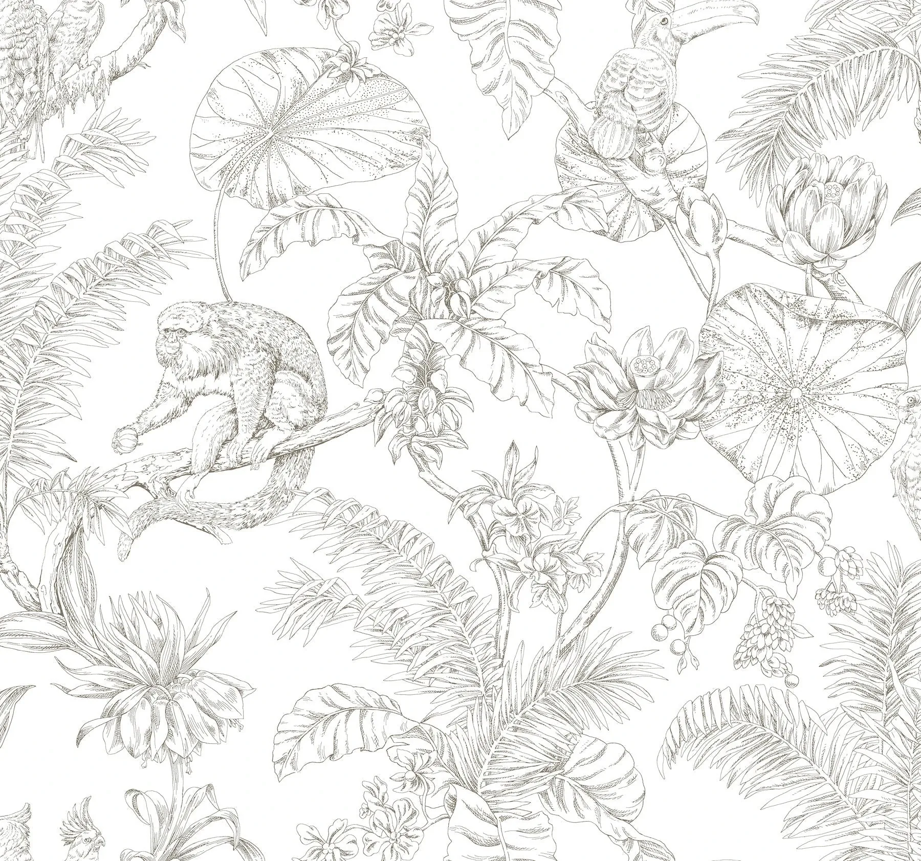 RT7843 | Tropical Sketch Toile Brown Wallpaper