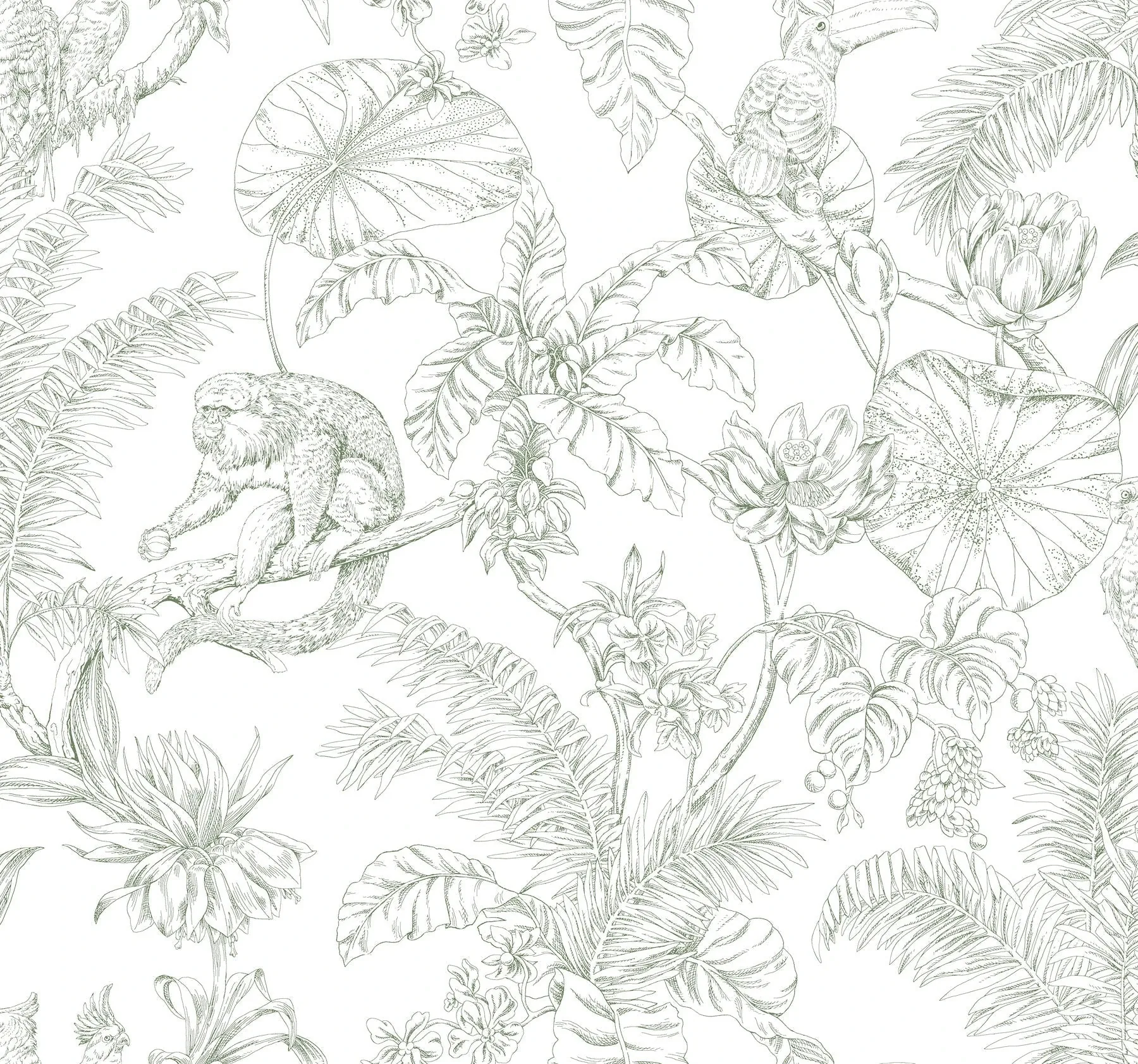 York Wallcoverings Tropical Sketch Toile Forest Wallpaper - SKU RT7842