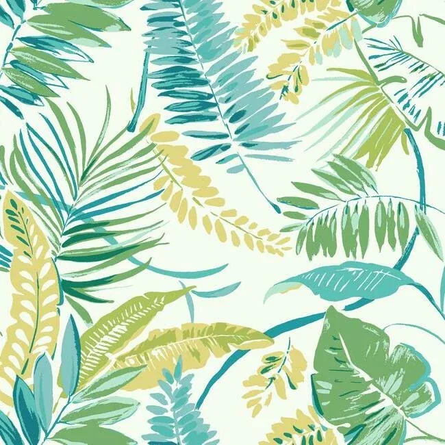 York Wallcoverings Tropical Toss Aqua & Yellow Wallpaper - SKU TC2626