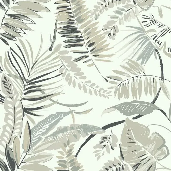 York Wallcoverings Tropical Toss White Wallpaper - SKU TC2622