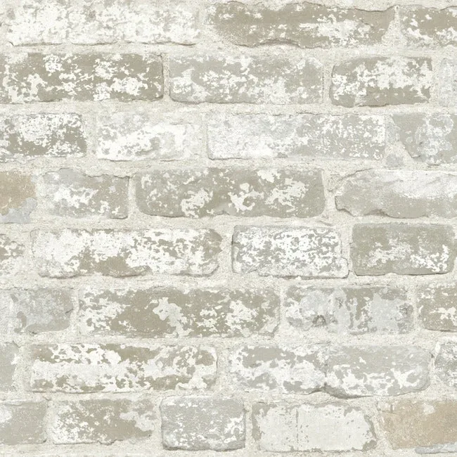 RB4304 | Up the Wall Off White & Grey Wallpaper
