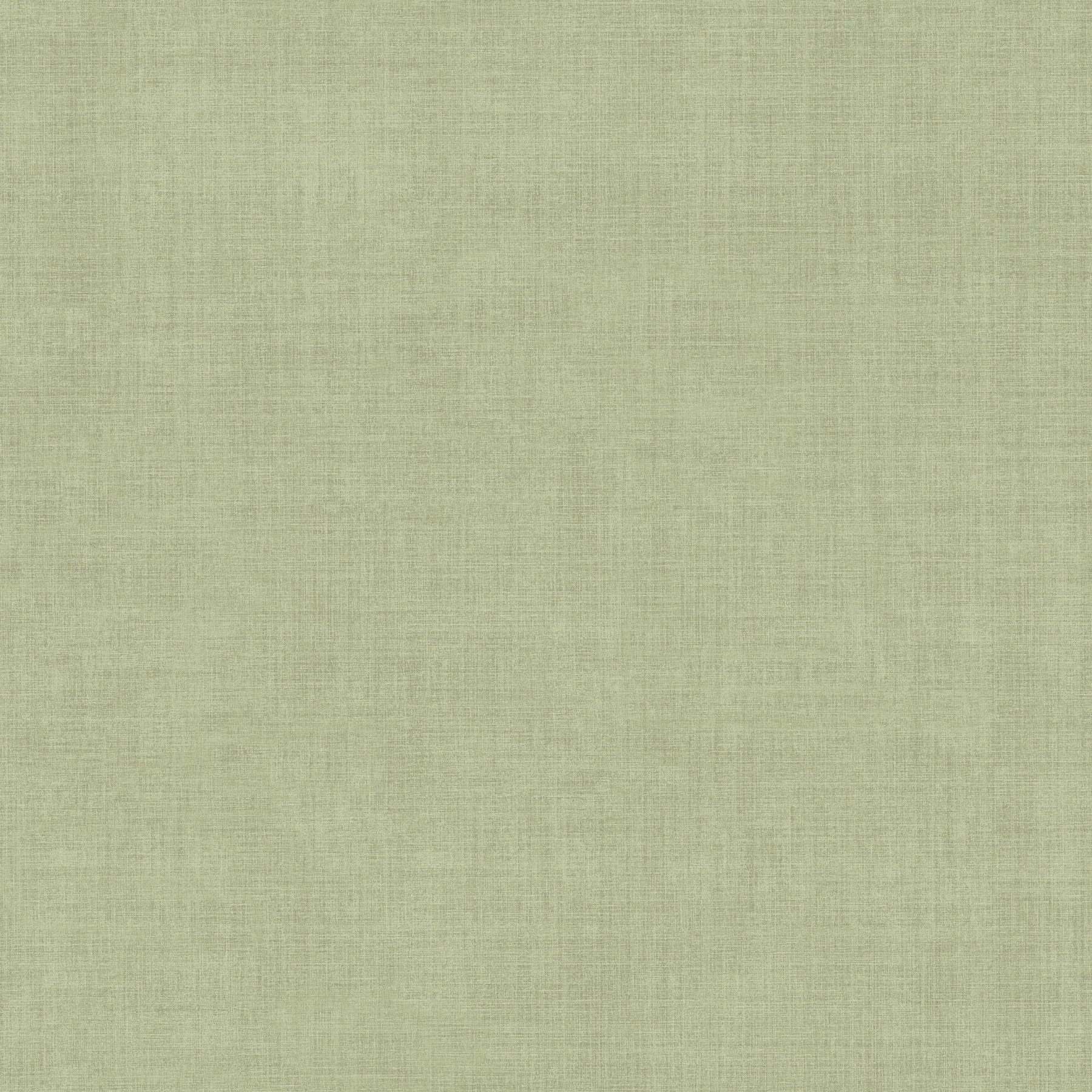 York Wallcoverings Vava Varlov Light Green Wallpaper - SKU MB16038