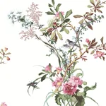 York Wallcoverings Wild Flowers Rose Peel & Stick Wallpaper - SKU PSW1366RL
