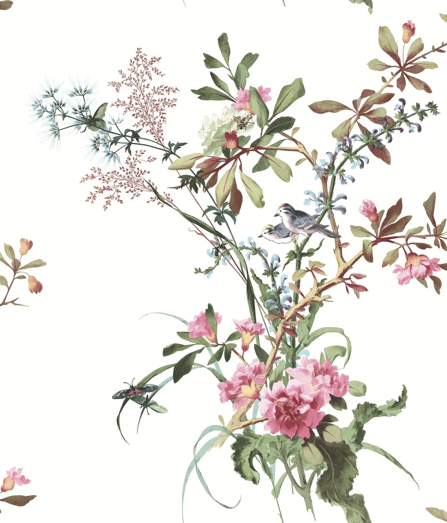 York Wallcoverings Wild Flowers Rose Peel & Stick Wallpaper - SKU PSW1366RL