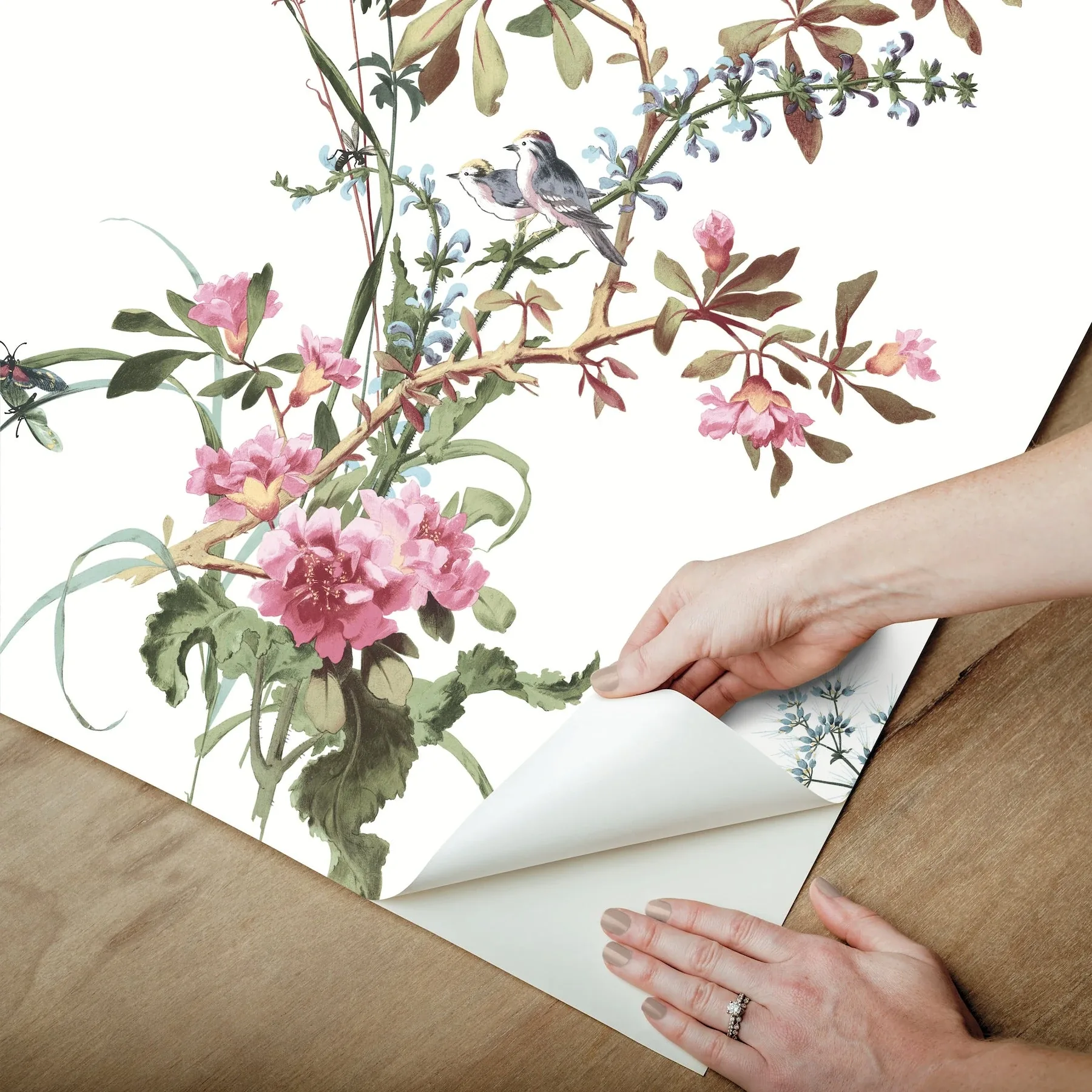 York Wallcoverings Wild Flowers Rose Peel & Stick Wallpaper - SKU PSW1366RL