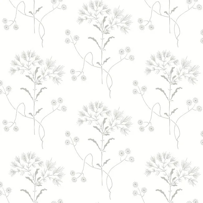 PSW1502RL | Wildflower Grey Wallpaper