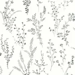 York Wallcoverings Wildflower Sprigs Black & White Wallpaper - SKU FH4026