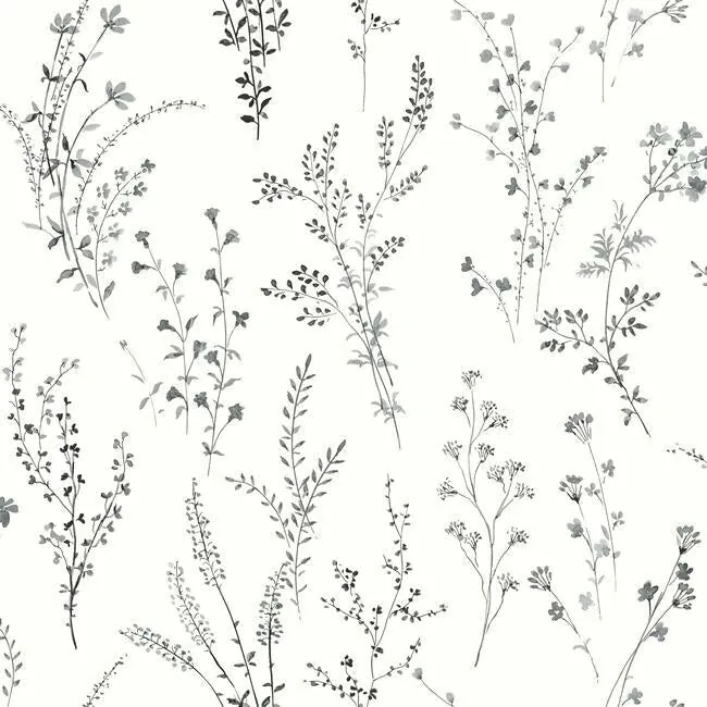 FH4026 | Wildflower Sprigs Black & White Wallpaper
