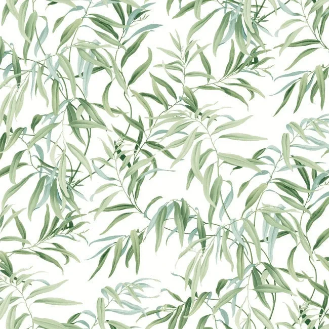 GO8241 | Willow Grove Forest Wallpaper