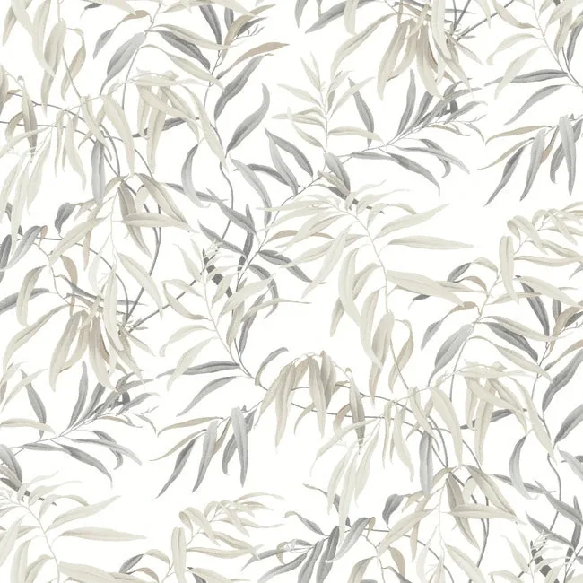 GO8243 | Willow Grove Sand Wallpaper