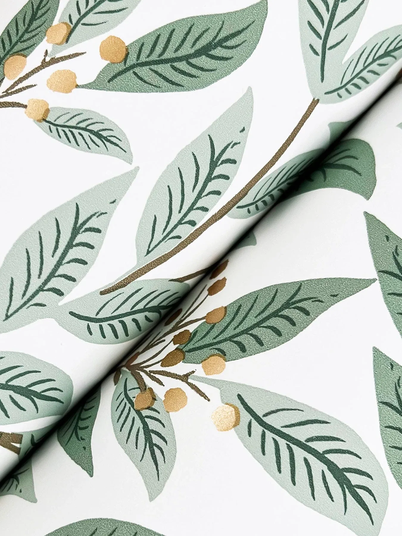 York Wallcoverings Willowberry Sage Wallpaper - SKU RF7465