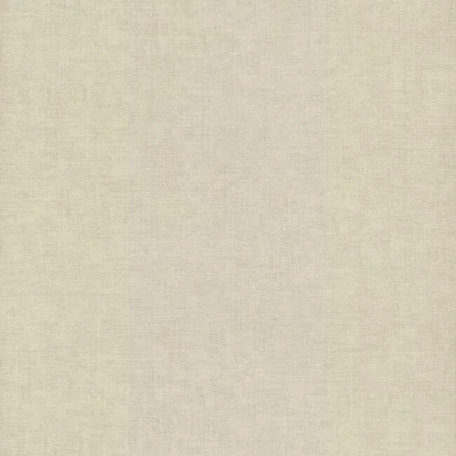 5571 | Wire Mesh Off White Wallpaper