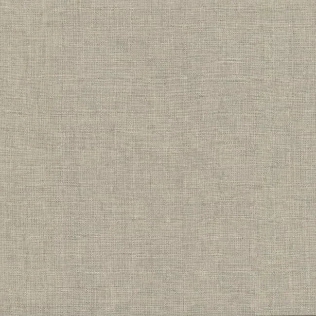 5572 | Wire Mesh Off White Wallpaper
