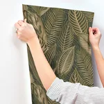 A-Street Prints Acacius - Dark Green Wallpaper | Buy Online A-Street Prints Acacius wallpaper, color Dark Green, SKU 4202-751826