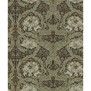 A-Street Prints African Marigold wallpaper, color Black, SKU 4171-82073