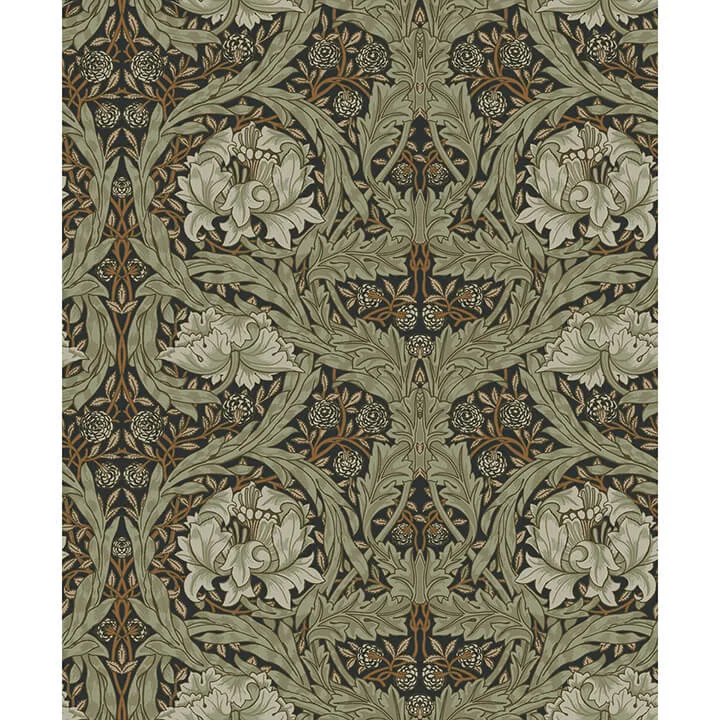 A-Street Prints African Marigold wallpaper, color Black, SKU 4171-82073