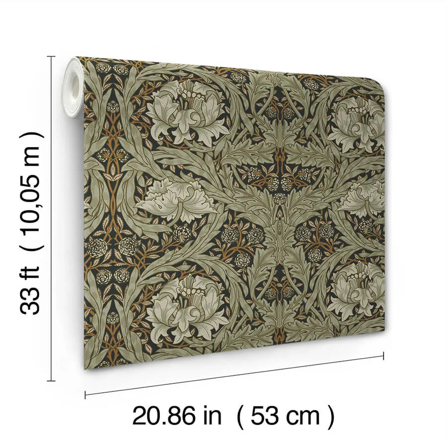 A-Street Prints African Marigold wallpaper, color Black, SKU 4171-82073