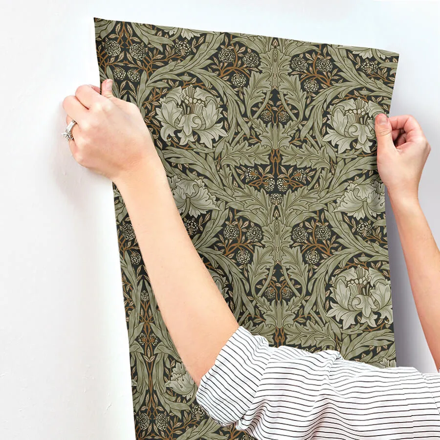 A-Street Prints African Marigold wallpaper, color Black, SKU 4171-82073