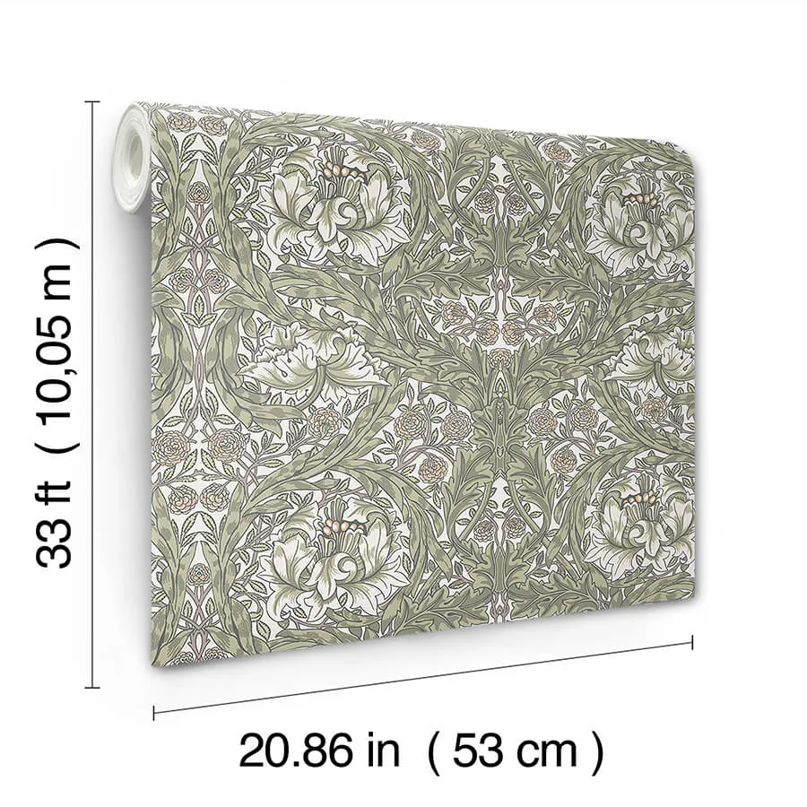 A-Street Prints African Marigold - Green Wallpaper | Buy Online A-Street Prints African Marigold wallpaper, color Green, SKU 4153-82023