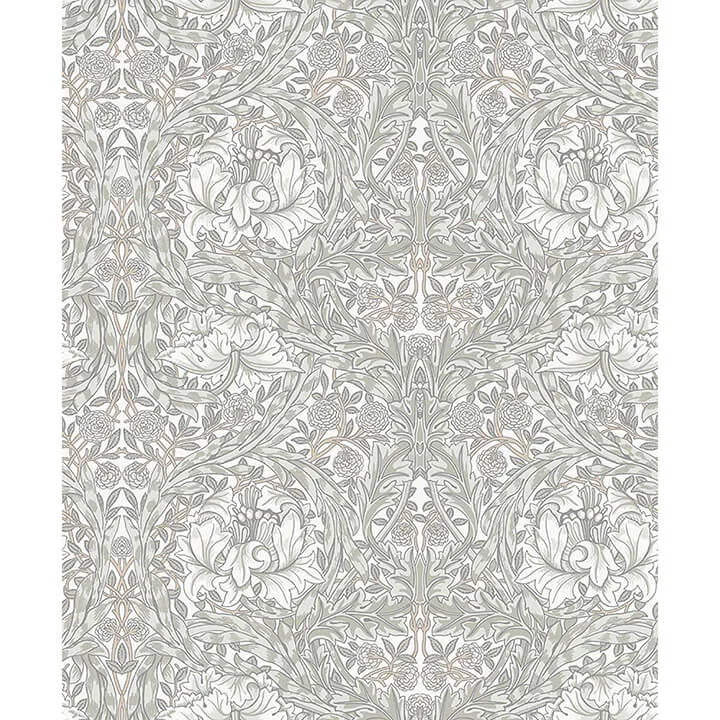A-Street Prints African Marigold wallpaper, color White, SKU 4153-82022