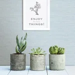 A-Street Prints Agave - Blue Wallpaper | Buy Online A-Street Prints Agave wallpaper, color Blue, SKU 2821-24283