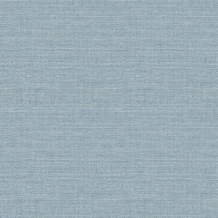 A-Street Prints Agave wallpaper, color Denim, SKU 4080-26497