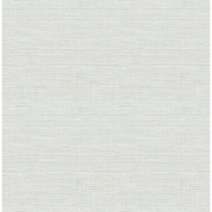 A-Street Prints Agave wallpaper, color Light Blue, SKU 4046-24278