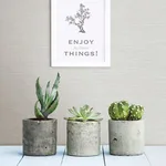 A-Street Prints Agave wallpaper, color Light Grey, SKU 2902-24278