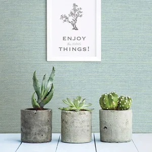 A-Street Prints Agave wallpaper, color Mint, SKU 2902-24282