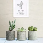 A-Street Prints Agave wallpaper, color Off White, SKU 2902-24281