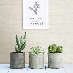 A-Street Prints Agave wallpaper, color Off White, SKU 2902-24281