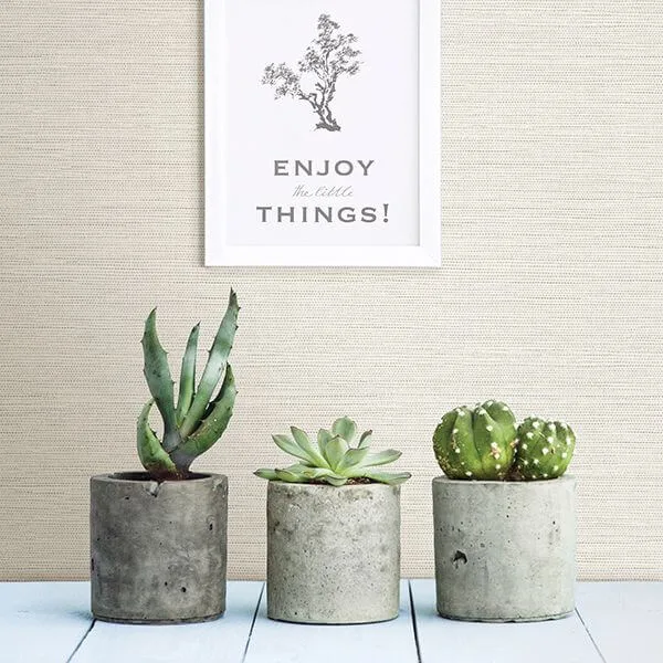 A-Street Prints Agave wallpaper, color Off White, SKU 2902-24281