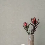 A-Street Prints Alba - Beige Wallpaper | Buy Online A-Street Prints Alba wallpaper, color Beige, SKU 4193-7403